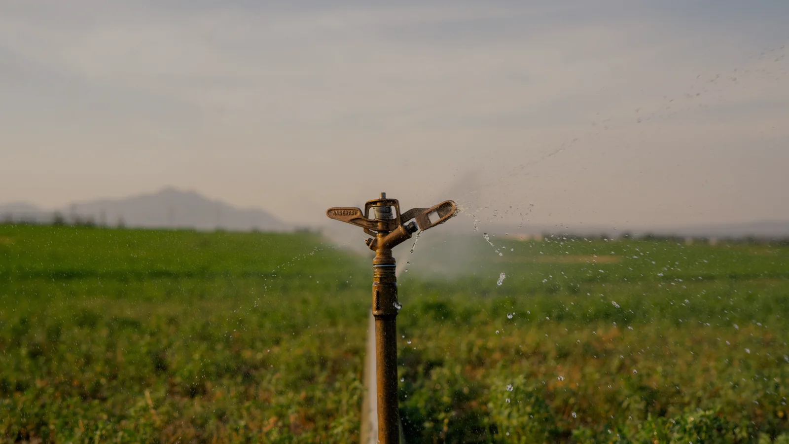 Agriculture & Irrigation industry